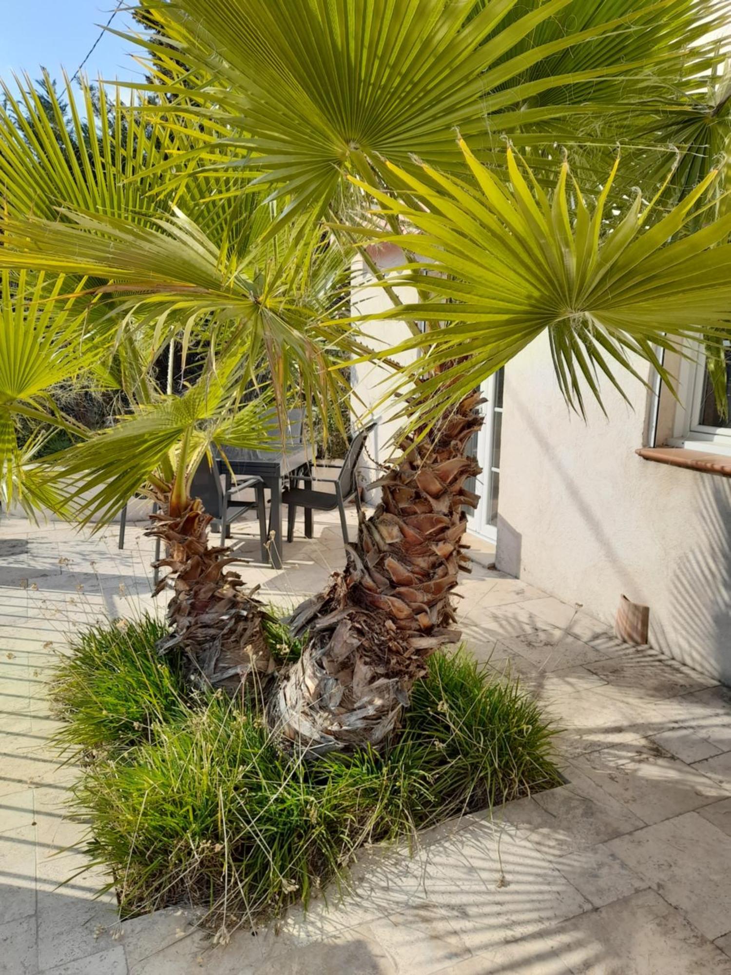 Villa Azur Lorgues Exterior photo